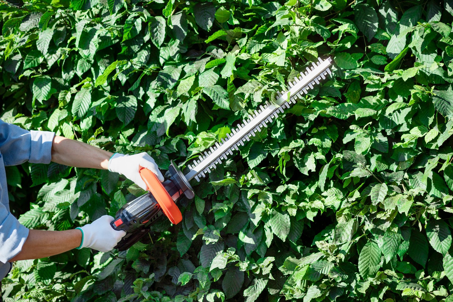 Professional landscaping and hedge trimming for Property maintenance Sevierville, TN Professional landscaping and hedge trimming for Property maintenance Sevierville, TN