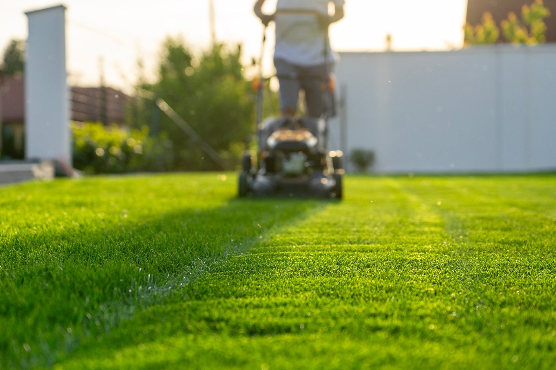 Lawn care and property maintenance for Sevierville, TN homes Lawn care and property maintenance for Sevierville, TN homes