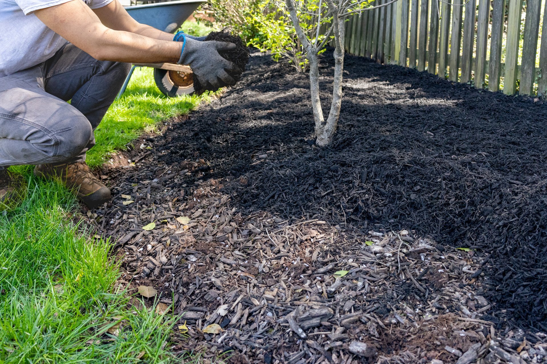 Mulch installation in landscape beds by Brock Property Services in Sevierville, TN Mulch installation in landscape beds by Brock Property Services in Sevierville, TN