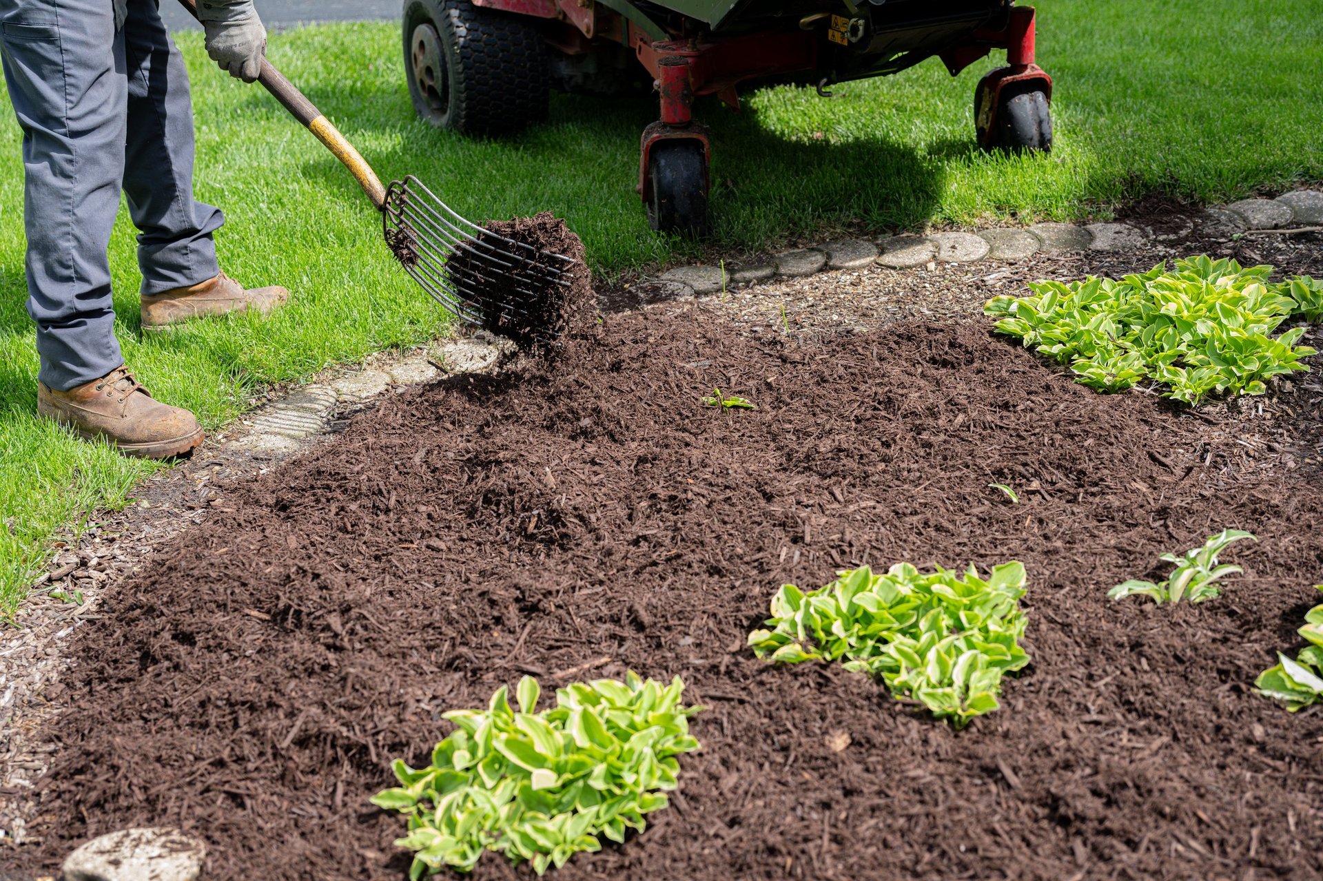 Mulch landscaping around shrubs in Sevier County, TN Mulch landscaping around shrubs in Sevier County, TN