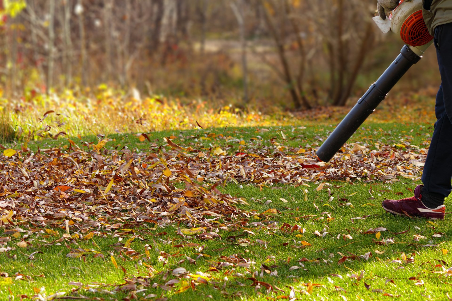 Seasonal leaf cleanup and property maintenance in Sevierville, TN Seasonal leaf cleanup and property maintenance in Sevierville, TN